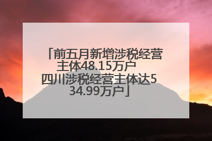 前五月新增涉税经营主体48.15万户 四川涉税经营主体达534.99万户