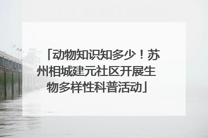 动物知识知多少！苏州相城建元社区开展生物多样性科普活动