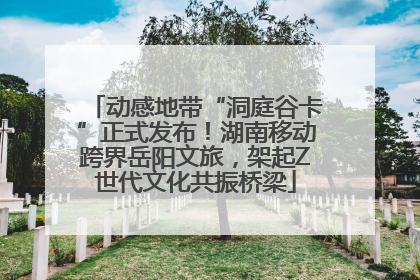 动感地带“洞庭谷卡”正式发布！湖南移动跨界岳阳文旅，架起Z世代文化共振桥梁