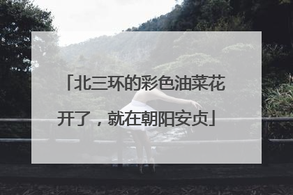 北三环的彩色油菜花开了，就在朝阳安贞