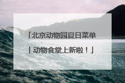 北京动物园夏日菜单丨动物食堂上新啦！