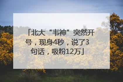 北大“韦神”突然开号，现身4秒，说了3句话，吸粉12万