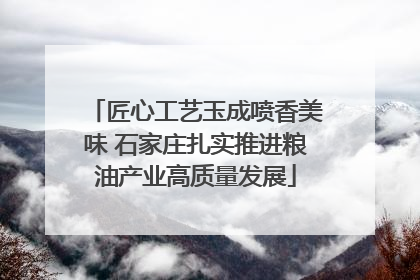 匠心工艺玉成喷香美味 石家庄扎实推进粮油产业高质量发展