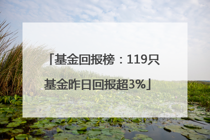 基金回报榜：119只基金昨日回报超3%
