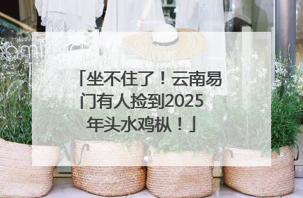 坐不住了！云南易门有人捡到2025年头水鸡枞！