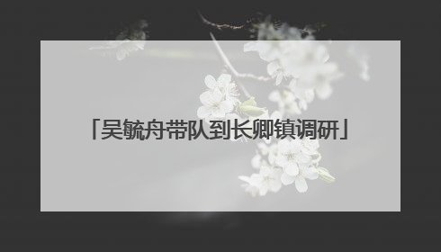 吴毓舟带队到长卿镇调研