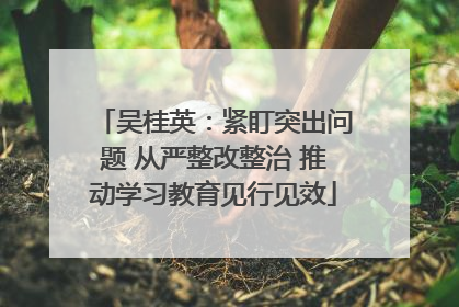 吴桂英：紧盯突出问题 从严整改整治 推动学习教育见行见效
