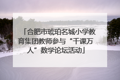 合肥市琥珀名城小学教育集团教师参与“千课万人”数学论坛活动