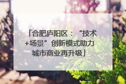 合肥庐阳区：“技术+场景”创新模式助力城市商业再升级