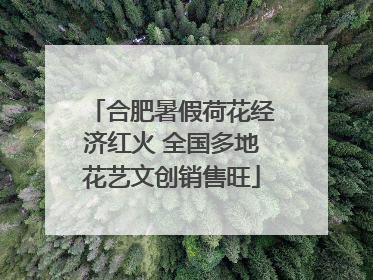 合肥暑假荷花经济红火 全国多地花艺文创销售旺