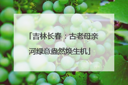 吉林长春：古老母亲河绿意盎然焕生机