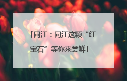 同江：同江这颗“红宝石”等你来尝鲜
