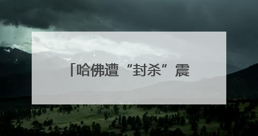 哈佛遭“封杀”震动教育界 在美留学生未来何去何从？