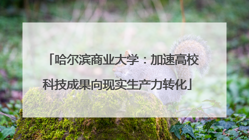 哈尔滨商业大学：加速高校科技成果向现实生产力转化
