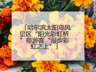 哈尔滨太阳岛风景区“阳光彩虹桥”带游客“漫步彩虹之上”