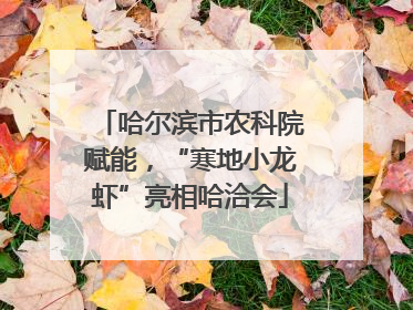 哈尔滨市农科院赋能，“寒地小龙虾”亮相哈洽会