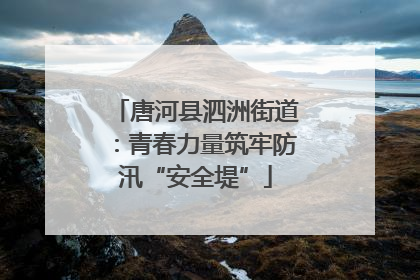 唐河县泗洲街道：青春力量筑牢防汛“安全堤”