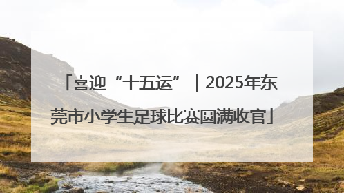 喜迎“十五运”｜2025年东莞市小学生足球比赛圆满收官