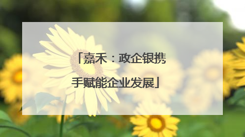 嘉禾：政企银携手赋能企业发展