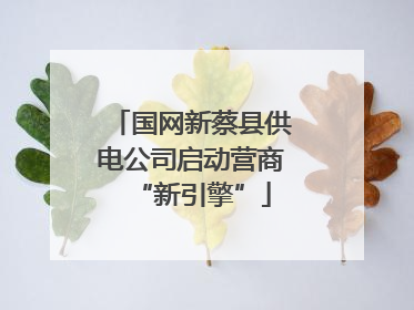 国网新蔡县供电公司启动营商“新引擎”
