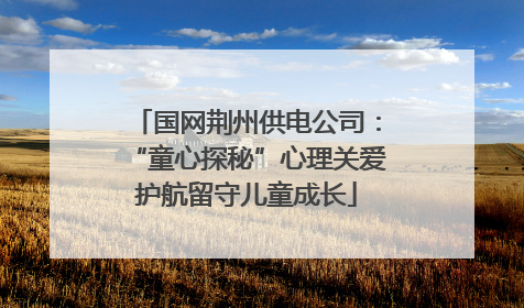 国网荆州供电公司：“童心探秘”心理关爱护航留守儿童成长