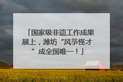 国家级非遗工作成果展上，潍坊“风筝怪才”成全国唯一！