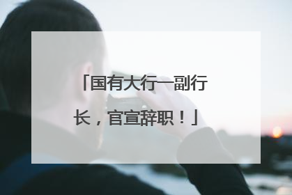 国有大行一副行长，官宣辞职！