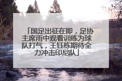国足出征在即，足协主席雨中观看训练为球队打气，王钰栋期待全力冲击印尼队
