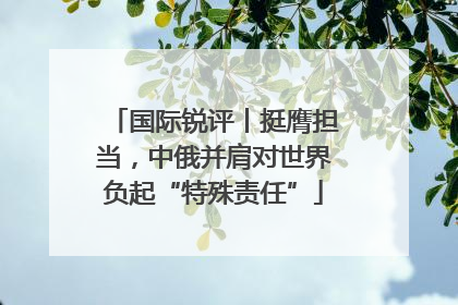 国际锐评丨挺膺担当，中俄并肩对世界负起“特殊责任”