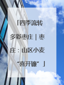四季流转 多彩枣庄｜枣庄：山区小麦“喜开镰”