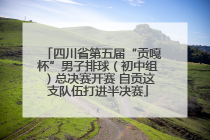 四川省第五届“贡嘎杯”男子排球（初中组）总决赛开赛 自贡这支队伍打进半决赛