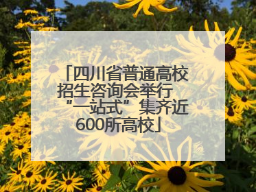 四川省普通高校招生咨询会举行 “一站式”集齐近600所高校