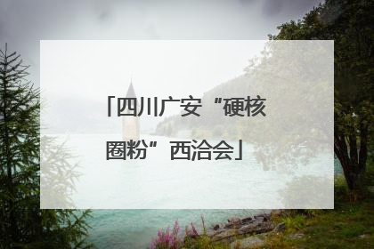 四川广安“硬核圈粉”西洽会