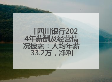 四川银行2024年薪酬及经营情况披露：人均年薪33.2万，净利润突破20亿