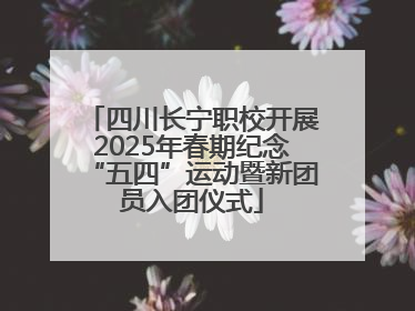 四川长宁职校开展2025年春期纪念“五四”运动暨新团员入团仪式