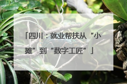 四川：就业帮扶从“小摊”到“数字工匠”