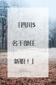 四川5名干部任新职！