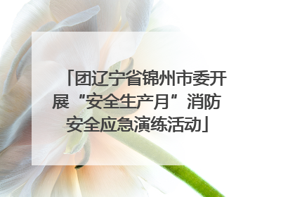 团辽宁省锦州市委开展“安全生产月”消防安全应急演练活动