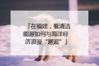 在福建，看清洁能源如何与海洋经济浪漫“邂逅”