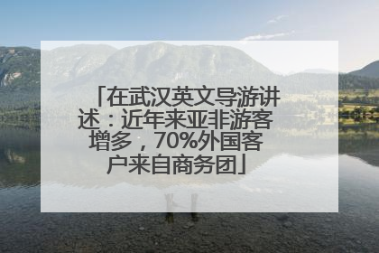 在武汉英文导游讲述：近年来亚非游客增多，70%外国客户来自商务团