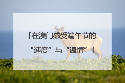 在澳门感受端午节的“速度”与“温情”
