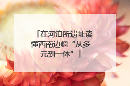 在河泊所遗址读懂西南边疆“从多元到一体”