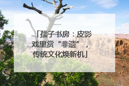 孺子书房：皮影戏里赏“非遗”，传统文化焕新机