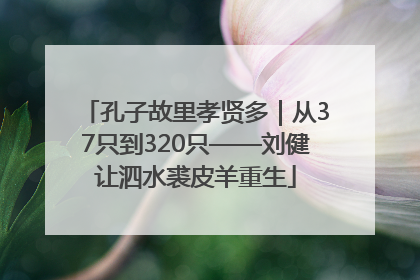 孔子故里孝贤多｜从37只到320只——刘健让泗水裘皮羊重生