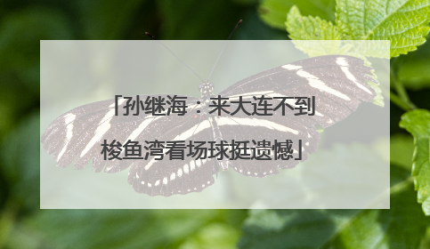 孙继海：来大连不到梭鱼湾看场球挺遗憾