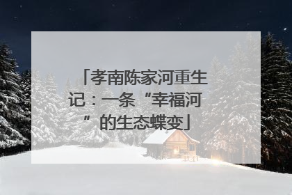 孝南陈家河重生记：一条“幸福河”的生态蝶变