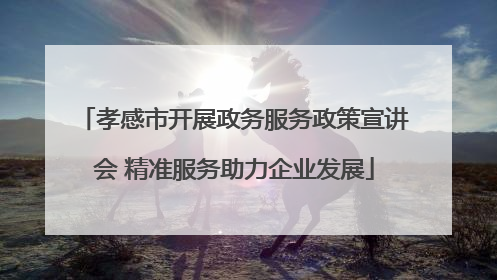 孝感市开展政务服务政策宣讲会 精准服务助力企业发展