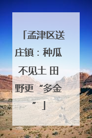 孟津区送庄镇：种瓜不见土 田野更“多金”