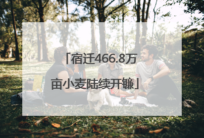 宿迁466.8万亩小麦陆续开镰
