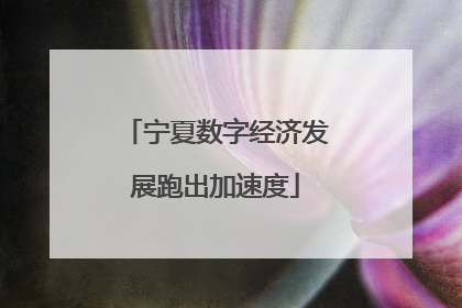 宁夏数字经济发展跑出加速度